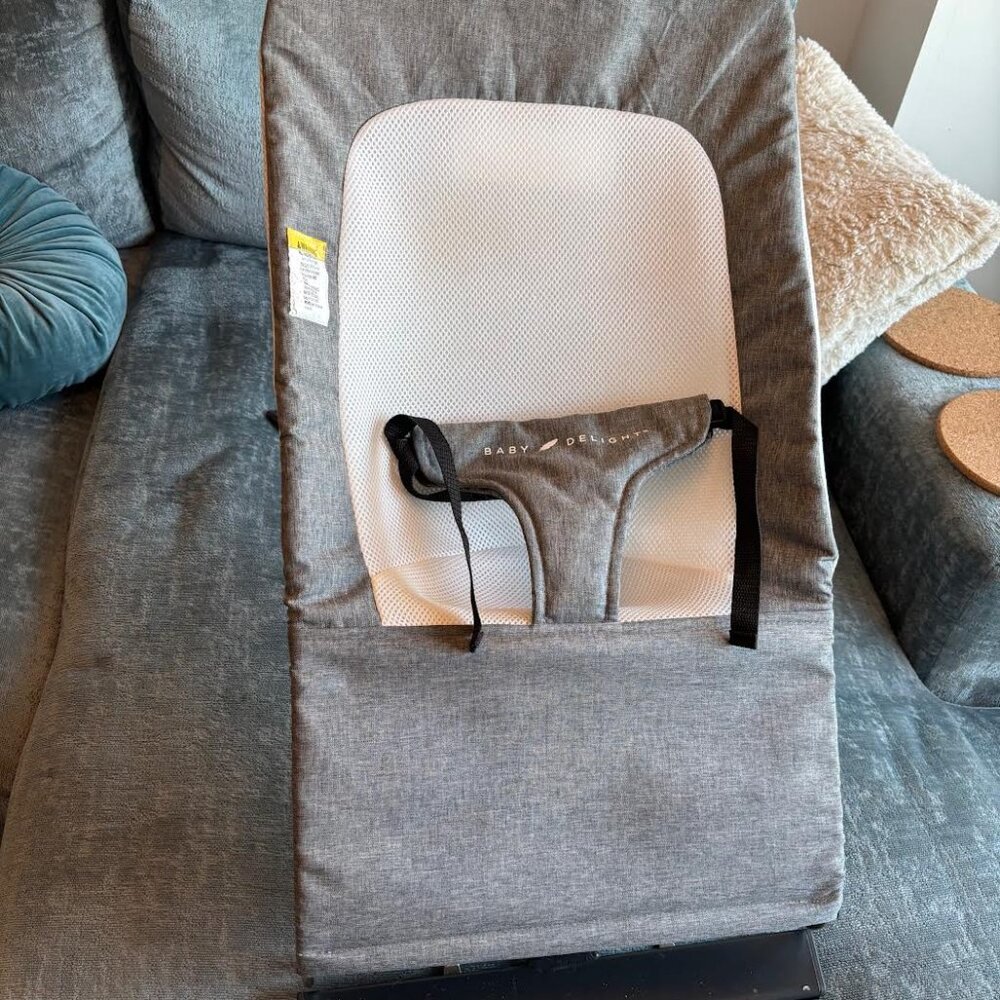 Baby Delight Bouncer